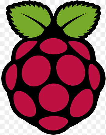 Manufacturer- Raspberry Pi